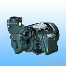 亞士霸油泵價格 亞士霸油泵批發 亞士霸油泵廠家 